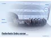 Federbein links vorne VW Touran I (1T1)
