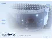 Motorhaube FIAT Punto Evo (199)