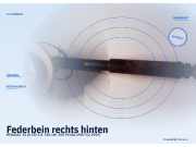 Federbein rechts hinten RENAULT 25 (B 29)