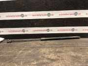 Heckklappendämpfer AUDI A2 (8Z)