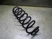 Feder rechts hinten VW Golf IV (1J)