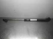 Heckklappendämpfer links DAIHATSU Cuore V (L7)