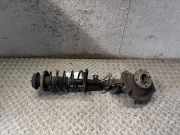 Federbein rechts vorne SUZUKI Swift III (EZ, MZ)