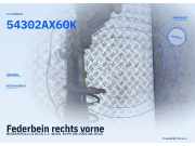 Federbein rechts vorne NISSAN Micra III (K12) E43A2BC60A 54302AX60K