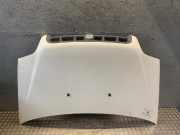 Motorhaube FIAT Doblo (223) 0046743226