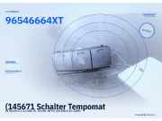 (145671 Schalter Tempomat CITROEN C2 96546664XT) 96546664XT