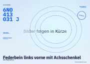 Federbein links vorne mit Achsschenkel VW Polo (6N1) 6N0413031J