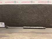 Heckklappendämpfer RENAULT Clio III (BR0/1, CR0/1)