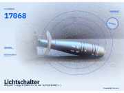Lichtschalter RENAULT Twingo II (CN0) 17068