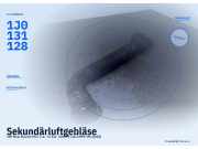 Sekundärluftgebläse VW New Beetle (9C) 1J0131128