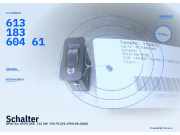 Schalter BMW 5er (E39) 61318360461