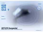 (87329 Gaspedal PEUGEOT 206+ (T3E) 0280755147) 0280755147