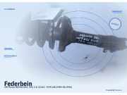 Federbein VW Passat (3A2, 35I)