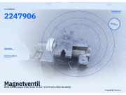 Magnetventil BMW 3er Compact (E46) 2247906