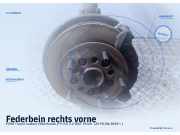 Federbein rechts vorne FORD Transit Custom V362 Kasten (FY, FZ)