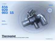 Thermostat SMART Roadster (452) A1602000315