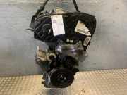 Motor ohne Anbauteile OPEL Signum (Z-C/S) Z19DT