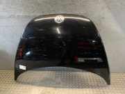 Motorhaube VW New Beetle (9C)