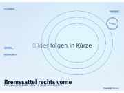 Bremssattel rechts vorne FIAT Punto (176)