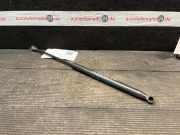 Heckklappendämpfer FIAT Grande Punto (199) 51778432