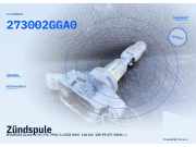 Zündspule HYUNDAI Santa Fe IV (TM, TMA) 273002GGA0