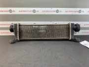 Ladeluftkühler MERCEDES-BENZ A-Klasse (W168) A1685000000