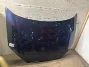 Motorhaube FORD Focus (DAW, DBW)