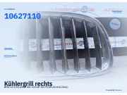 Kühlergrill rechts BMW X3 (F25) 10627110