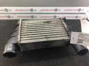 Ladeluftkühler AUDI A6 Avant (4B, C5) 058145805A