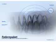 Federnpaket FORD Fiesta VI (CB1, CCN)