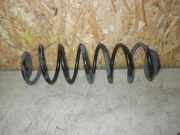 Feder hinten FORD Fiesta V (JH, JD)