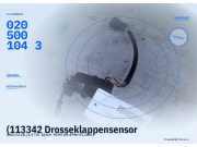 (113342 Drosseklappensensor AUDI VW 0205001043) 0205001043