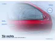 Tür rechts RENAULT Clio II (B)
