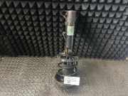 Federbein MERCEDES-BENZ C-Klasse (W203) 2033204130