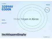 Heckklappendämpfer FIAT Punto (176) 3289AV 0300N