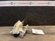 Hauptbremszylinder PEUGEOT 308 I 0204254242