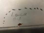 Tür links vorne OPEL Astra G CC (T98)