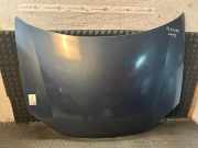Motorhaube VW Golf V (1K)