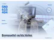 Bremssattel rechts hinten VW Tiguan I (5N) 5N0615404