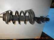 Federbein rechts vorne VW Transporter T5 Bus