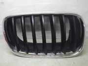Kühlergrill BMW X5 (E70) 51317185224