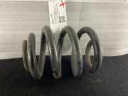 Feder hinten VW Transporter T6 Kasten