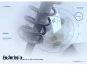 Federbein RENAULT Clio I (57)