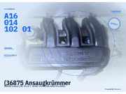 (36875 Ansaugkrümmer SMART Cabrio (MC 01) A1601410202) A1601410201