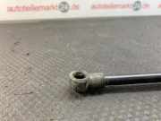 Heckklappendämpfer VW Golf IV (1J) 1J6827550E