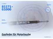 Gasfeder für Motorhaube HYUNDAI Ioniq (AE) 81171-G1000