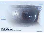 Motorhaube DACIA Sandero I (BS)