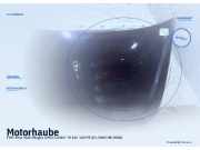 Motorhaube FIAT Stilo Multi Wagon (192)