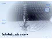 Federbein rechts vorne FORD Fusion (JU)
