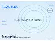 Innenspiegel OPEL Zafira B (A05) 13253546